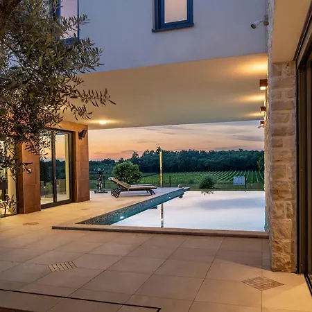 Villa Felice Novigrad Buzinija
